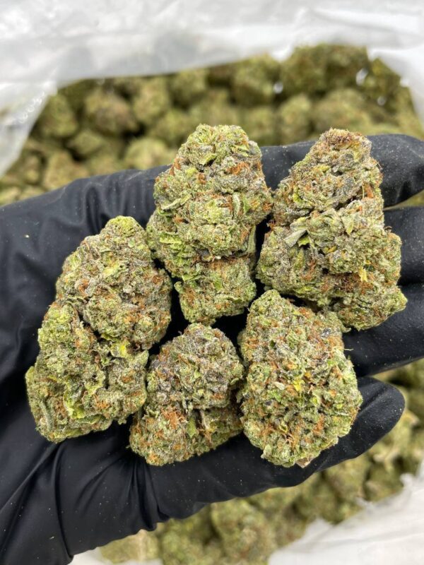 premium thcavapes, thca vape uk, thca vape, thca vapes uk​, thca vapes, thca disposable vape uk​, thca vape reddit​, thca vape uk legal, best thca vape brands georgia shipping​, best thca vapes uk, buy thca vape uk​, thca diamond infused vapes nicotine content, thca diamond infused vapes nicotine content, best thca disposable vape, best thca vape reddit, does thca get you high in a vape, thca disposable vape, thca vape juice​, thca vape juice uk​, thca vape pen​, thca vape pens, are thca vapes safe, best temp to vape thca flower, best thca disposable vape brands, best thca vape, best thca vape cartridges 2024 reviews, best thca vape cartridges vendors 2024, best thca vape vendors 2024, best thca vapes, bloomz hemp thca vapes, can you vape thca, cookies thca vape, does a thca vape get you high​, does thca get you high if vaped, does thca vape get you high, does vaping thca turn it into thc, lit farms thca vapes, mood sour diesel thca vape, munchies thca vape, pixie dust thca vape, rollz thca vape, thca liquid