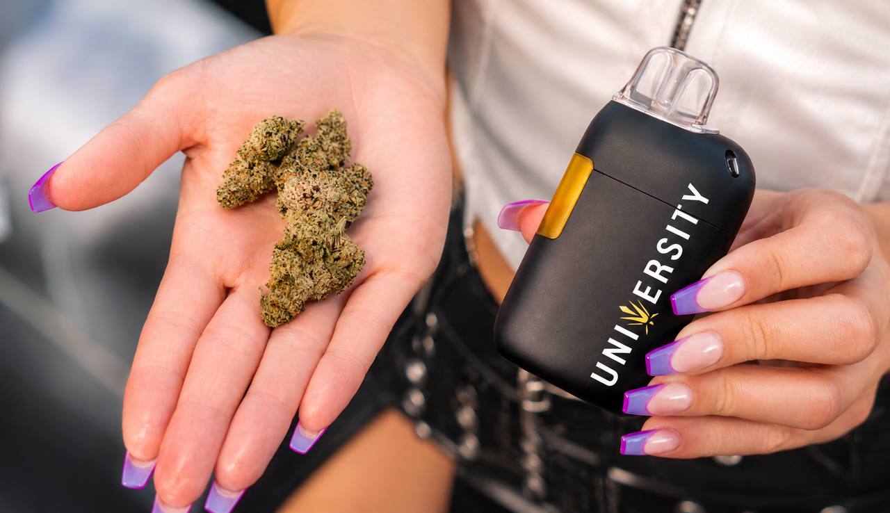 premium thcavapes, thca vape uk, thca vape, thca vapes uk​, thca vapes, thca disposable vape uk​, thca vape reddit​, thca vape uk legal, best thca vape brands georgia shipping​, best thca vapes uk, buy thca vape uk​, thca diamond infused vapes nicotine content, thca diamond infused vapes nicotine content, best thca disposable vape, best thca vape reddit, does thca get you high in a vape, thca disposable vape, thca vape juice​, thca vape juice uk​, thca vape pen​, thca vape pens, are thca vapes safe, best temp to vape thca flower, best thca disposable vape brands, best thca vape, best thca vape cartridges 2024 reviews, best thca vape cartridges vendors 2024, best thca vape vendors 2024, best thca vapes, bloomz hemp thca vapes, can you vape thca, cookies thca vape, does a thca vape get you high​, does thca get you high if vaped, does thca vape get you high, does vaping thca turn it into thc, lit farms thca vapes, mood sour diesel thca vape, munchies thca vape, pixie dust thca vape, rollz thca vape, thca liquid